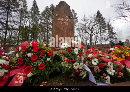 Berlin, Deutschland. Januar 2024. Zahlreiche Menschen legen Blumen an der Stille Gedenkstätte für Rosa Luxemburg und Karl Liebknecht zum 105. Jahrestag ihrer Ermordung an der sozialistischen Gedenkstätte in Berlin-Friedrichsfelde. Quelle: Jörg Carstensen/dpa/Alamy Live News Stockfoto