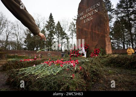 Berlin, Deutschland. Januar 2024. Zahlreiche Menschen legen Blumen an der Stille Gedenkstätte für Rosa Luxemburg und Karl Liebknecht zum 105. Jahrestag ihrer Ermordung an der sozialistischen Gedenkstätte in Berlin-Friedrichsfelde. Quelle: Jörg Carstensen/dpa/Alamy Live News Stockfoto