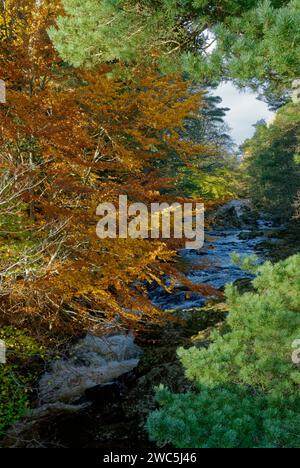 Der Fluss North Esk hoch oben in den Angus Glens nahe dem Dorf Tarfside stürzt in einer Reihe kleiner Wasserfälle den Hügel hinunter. Stockfoto