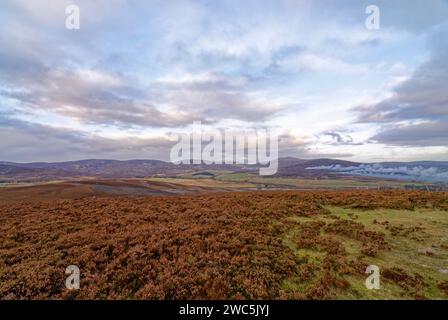 Feuer von Heidekraut brennen in der Ferne auf den Bergseiten der Cairngorms unter dem Abendlicht einer untergehenden Sonne. Stockfoto