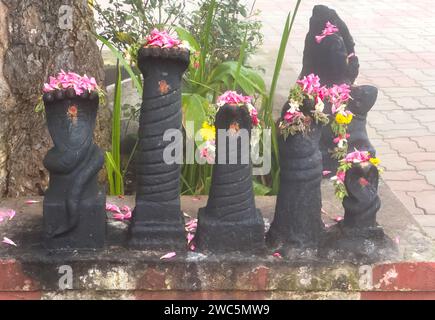 Schlangengötter im Kuzhanthai Velapar Tempel (bedeutet Baby Lord murugan Tempel) mit Blumen, die von Gläubigen verehrt werden Stockfoto