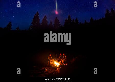 Gruppe von Menschen in der Nähe des Kamins im Nachtwald mit dunklen Bäumen und Sternenhimmel oben. Stockfoto