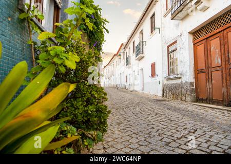 Wunderschöner Blick auf das bergige Monchique, die Algarve, Südportugal Stockfoto