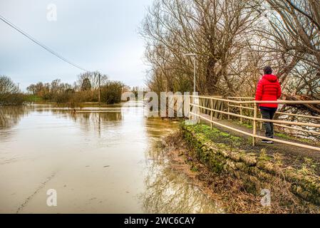 Gehweg über die Hochwasserebene zwischen dem Old Bedford River und dem Hundert Fuß Abfluss, Sutton Gault, Sutton-in-the-Isle, nahe Ely, Cambridgeshire, UK Stockfoto