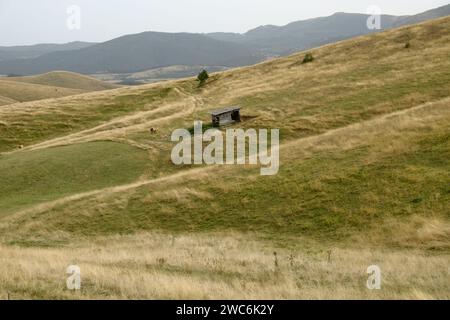 prairie mit altem Bauernhaus in Zlatibor Herbstberg, Serbien Stockfoto