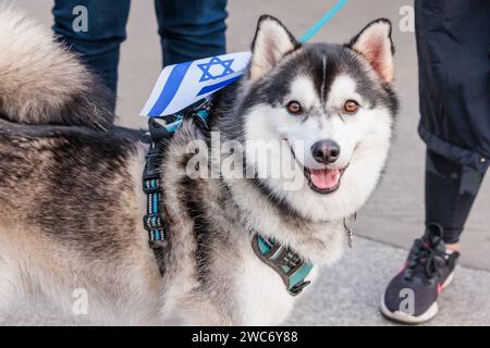 Trafalgar Square, London, Großbritannien. Januar 2024. Tausende von Menschen traten der israelischen Kundgebung in London bei, die 100 Tage nach der Gefangennahme der Geiseln nach dem Terroranschlag der Hamas auf Israel stattfand. Die Veranstaltung beinhaltete eine Reihe von Sprechern, darunter Familienmitglieder einiger der 136 Geiseln, die noch immer in Gefangenschaft gehalten wurden, sowie musikalische Darbietungen israelischer Künstler. 1.400 Israelis wurden brutal ermordet und 240 Geiseln genommen, als die Hamas am 7. Oktober 2023 in Israel einmarschierte. Foto: Amanda Rose/Alamy Live News Stockfoto