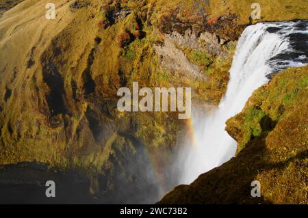 Regenbogen über dem Skogafoss-Wasserfall (60 m Fallhöhe und 25 m breit), Südisland Stockfoto