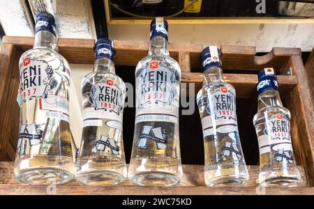 Yeni Raki starkes alkoholisches Getränk aus dem Truthahn auf einem Barregal Stockfoto