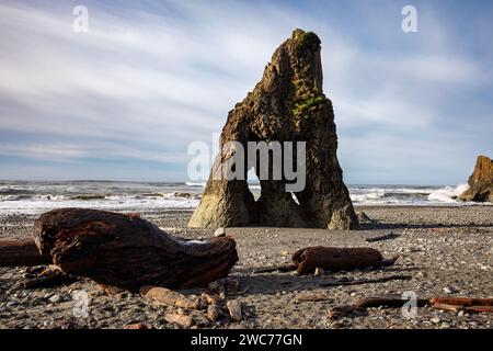 WA25000-00...WASHINGTON - Seestapel und Treibholz am Ruby Beach an der Pazifikküste im Olympic National Park. Stockfoto