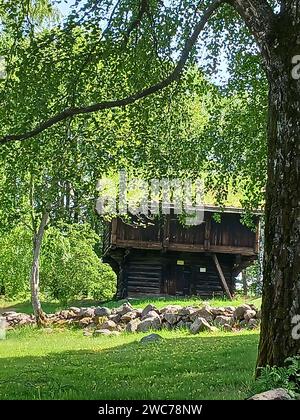 Ein majestätisches Pferd steht anmutig inmitten von üppigem grünem Gras, mit einer bezaubernden Hütte in den malerischen Wäldern als Kulisse Stockfoto