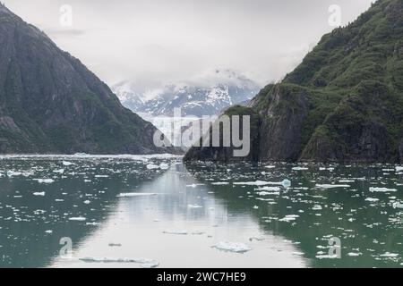 Gowlers (kleine Eisberge) schwimmen im Meer mit dem North Sawyer Glacier in der Ferne, Tracy Arm Inlet, Alaska, USA Stockfoto