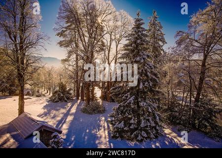 DE - BAYERN: Winter entlang der Isar bei Bad Toelz, Oberbayern, Deutschland Stockfoto