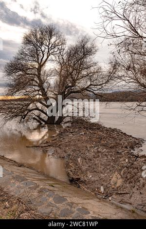 Kunststoffabfälle, feste Abfälle, Holzspäne im Fluss, Kanal, entlang der Küste oder Ufer. Querformat. Stockfoto