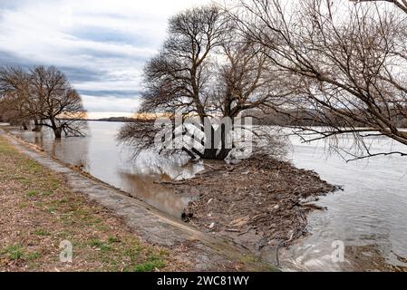 Kunststoffabfälle, feste Abfälle, Holzspäne im Fluss, Kanal, entlang der Küste oder Ufer. Querformat. Stockfoto