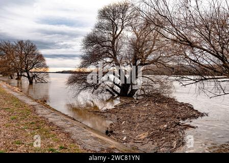 Kunststoffabfälle, feste Abfälle, Holzspäne im Fluss, Kanal, entlang der Küste oder Ufer. Querformat. Stockfoto