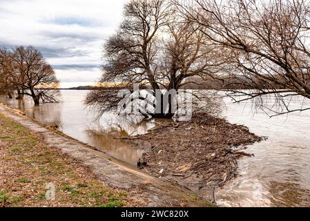 Kunststoffabfälle, feste Abfälle, Holzspäne im Fluss, Kanal, entlang der Küste oder Ufer. Querformat. Stockfoto