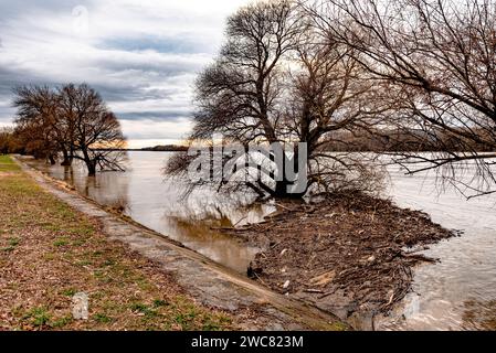 Kunststoffabfälle, feste Abfälle, Holzspäne im Fluss, Kanal, entlang der Küste oder Ufer. Querformat. Stockfoto