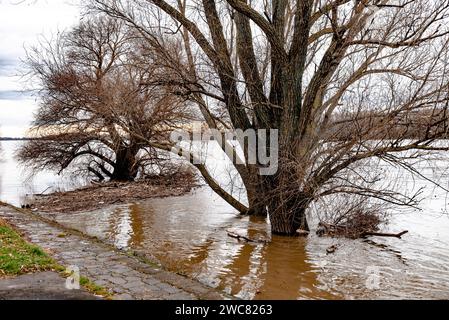 Kunststoffabfälle, feste Abfälle, Holzspäne im Fluss, Kanal, entlang der Küste oder Ufer. Querformat. Stockfoto