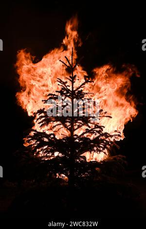 Silhouette eines Weihnachtsbaums, der in Flammen gegen dunkle Nacht im Januar eingetaucht ist Stockfoto