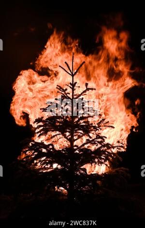 Silhouette eines Weihnachtsbaums, der in Flammen gegen dunkle Nacht im Januar eingetaucht ist Stockfoto