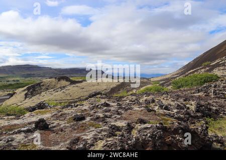 Blick auf die Lavafelder eines vergangenen Vulkanausbruchs in Island Stockfoto