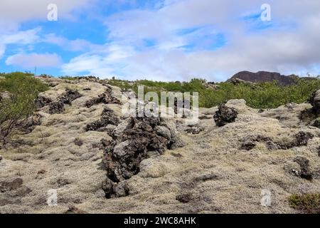 Blick auf die Lavafelder eines vergangenen Vulkanausbruchs in Island Stockfoto