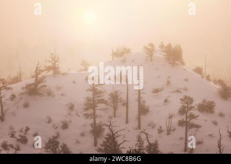Im Bryce Canyon National Park, Utah, scheint die Sonne durch dicken Nebel über einer schneebedeckten Landschaft Stockfoto
