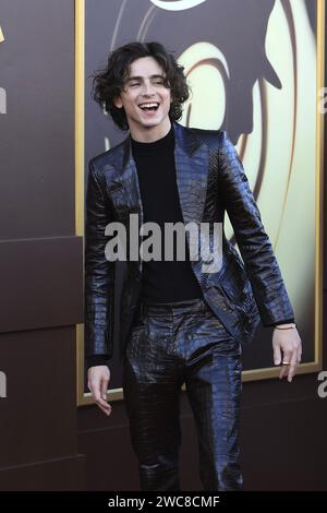 Wonka Los Angeles Premiere im Village Theater am 9. Dezember 2023 in Westwood, KALIFORNIEN mit: Timothee Chalamet Where: Westwood, California, United States Wann: 09 Dez 2023 Credit: Nicky Nelson/WENN Stockfoto