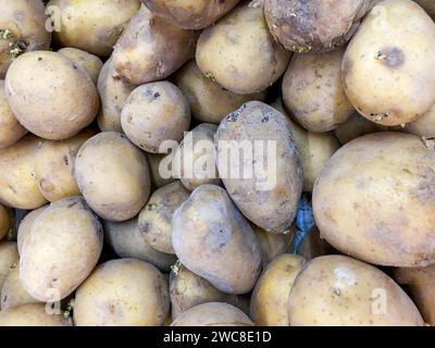 Blick von oben auf den Hintergrund frisch gegrabener Kartoffeln auf dem Markt Stockfoto