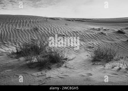 Tengri-Wüste in der Autonomen Region der Inneren Mongolei in China. Sonnenuntergangsbild mit Kopierraum für Text, Schwarzweiß Stockfoto