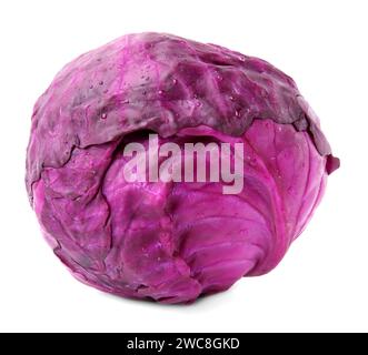 Ein roher Rotkohl mit Wassertropfen isoliert auf weiß Stockfoto