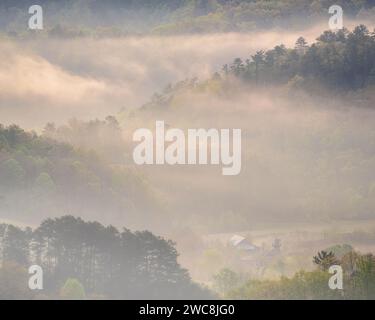 Nebeliger Morgen vom Foothills Parkway im Great Smoky Mountains National Park, Tennessee Stockfoto