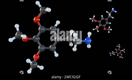 Die 3D-Darstellung der Meskalinstruktur, oft als Peyote bekannt, ist ein Phenylethylamin-Alkaloid, ein Halluzinogen, das in Kakteen Lophophora williamsii vorkommt Stockfoto