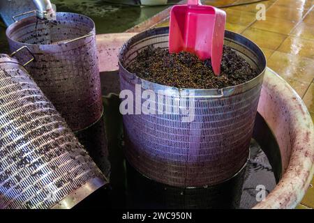 Weinlese, Gärung von gepresstem Traubensaft in Stahlfässern, Rebsorte Cabernet Sauvignon aus den Weinbergen Haut-Medoc in Bordeaux, links Stockfoto