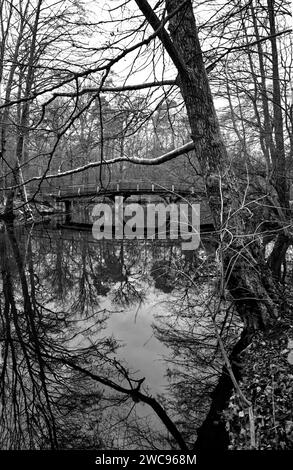 Schwarz-weiß-Fotografie einer Holzbrücke am Jakobiweiher-See in Frankfurt am Main, Hessen Stockfoto