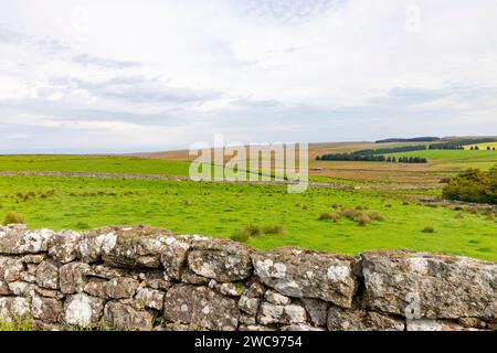 Princetown, Dartmoor Nationalpark in Devon und lokale Landschaft und Landschaft, England, Großbritannien, 2023 Stockfoto