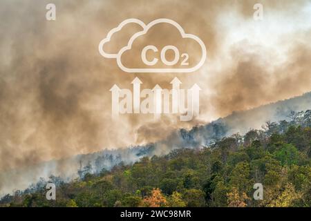 Waldbrände setzen CO2-Emissionen und andere Treibhausgase (THG) frei, die zum Klimawandel beitragen. Stockfoto