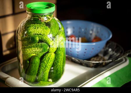 Frische Gurken in einem Glas sind mit Salzlösung gefüllt, Nahaufnahme. Zubereitung eingelegter Gurken für den Winter Stockfoto