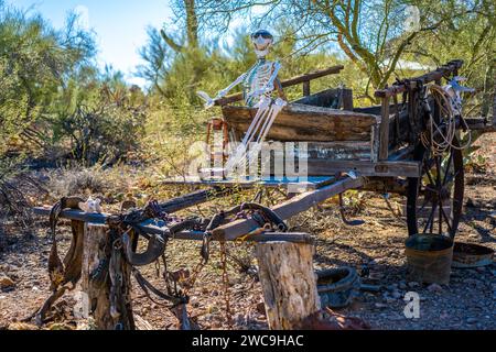 Ein Knochen auf einer Pferdekutsche in Tucson, Arizona Stockfoto