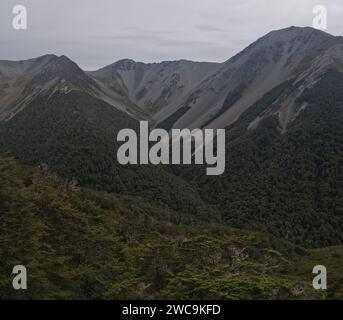 Der Craigieburn Forest Park erstreckt sich vom Waimakariri River bis zum Wilberforce River mit geflochtenen Flüssen, Buchtentälern, Tussock Grasland und alpinem scr Stockfoto