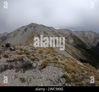 Der Craigieburn Forest Park erstreckt sich vom Waimakariri River bis zum Wilberforce River mit geflochtenen Flüssen, Buchtentälern, Tussock Grasland und alpinem scr Stockfoto