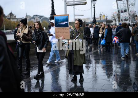 18. November 2023: Eine einsame Frau verteilt Flugblätter vor dem Sea Life London Aquarium und ermutigt die Öffentlichkeit, alle Aquarien wegen Tierquälerei zu boykottieren. Stockfoto