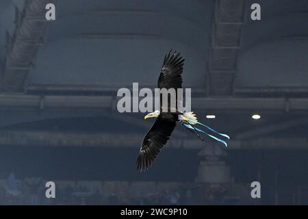 Das Lazio-Maskottchen, der Adler Olimpia, fliegt vor dem Fußballspiel Coppa Italia Frecciarossa zwischen SS Lazio und AS Roma in Stad ins Stadion Stockfoto