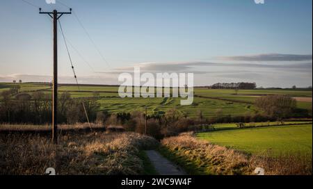 Spuren von Häusern im verlassenen mittelalterlichen Dorf Wharram Percy in North Yorkshire, Großbritannien Stockfoto