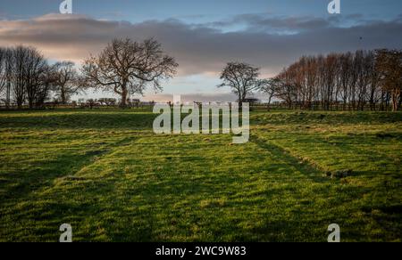 Spuren von Häusern im verlassenen mittelalterlichen Dorf Wharram Percy in North Yorkshire, Großbritannien Stockfoto