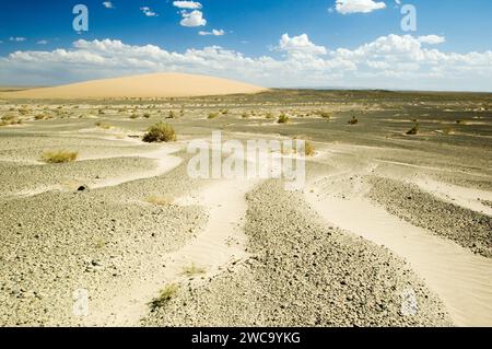 Moltzog Els, Sanddünen, Gobi Nationalpark Stockfoto