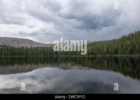 Ruhiger Waldsee mit bewölktem Himmel und Bergen Stockfoto