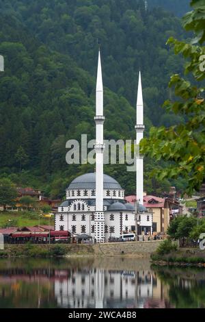 Wunderschöne Moschee am Uzungol-See, Türkei. Vertikales Foto Stockfoto