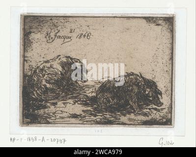 Zwei lügende Schweine, Charles Emile Jacque, 1848 Druck nummeriert in der Mitte: 21. Papierätzung / Trockenspitze Schwein Stockfoto