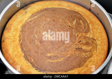 Tigermarmorierter Schwammkuchen, Mehlbestandteile, Butter, Öl, Vanillepulver, Kakao, Zucker, Milch, Eier und Backpulver, gestreifter, schwammender, köstlicher Swee Stockfoto